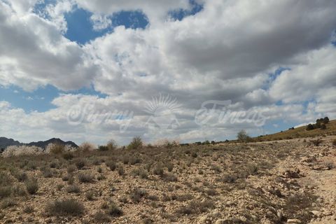 Helårsgrund i Caudete, Albacete, Caudete - € 35.000 | Ref: SF0388 - foto 8